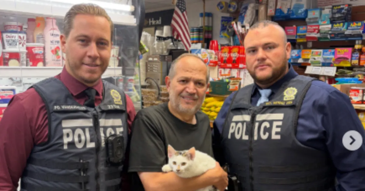 Jabal bodega cat returned