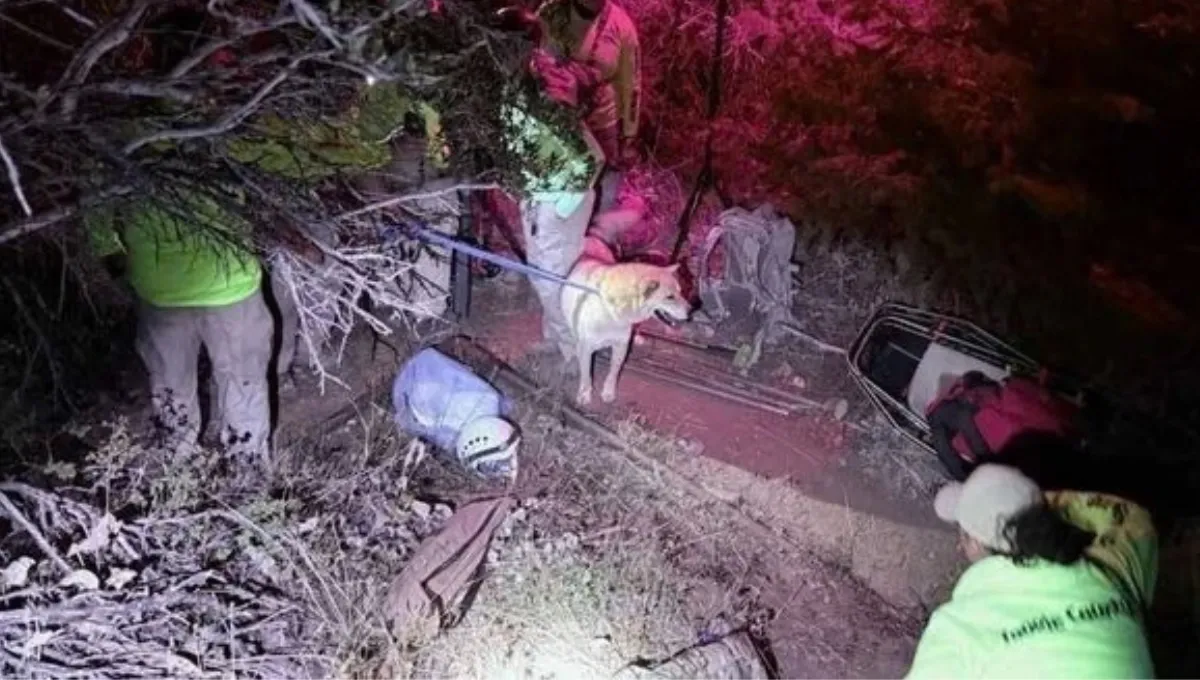 Rescue team members helping a dog at night after it was pulled from a mine near Grantsville