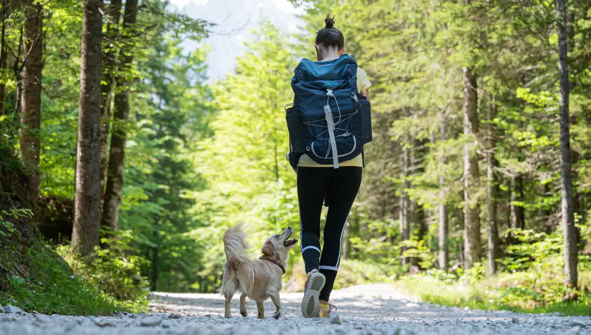 Woman hiking on a forest trail with her dog walking beside her
