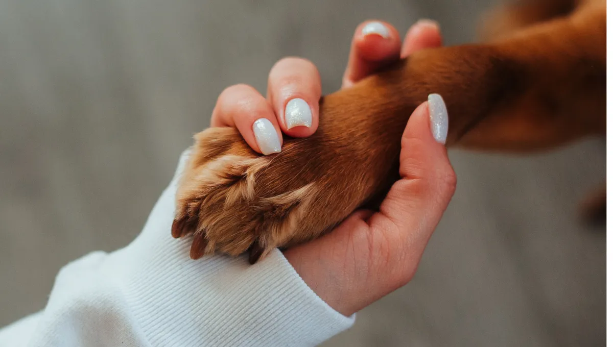 Person gently holding a dog's paw in their hand
