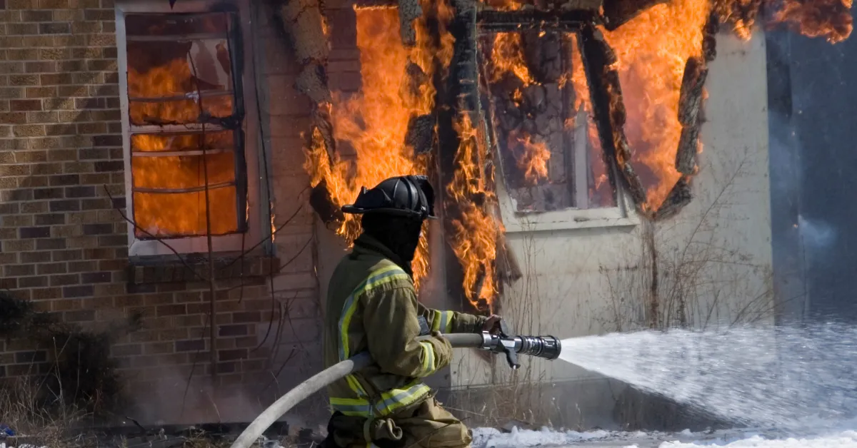 house fire cats Dixon California