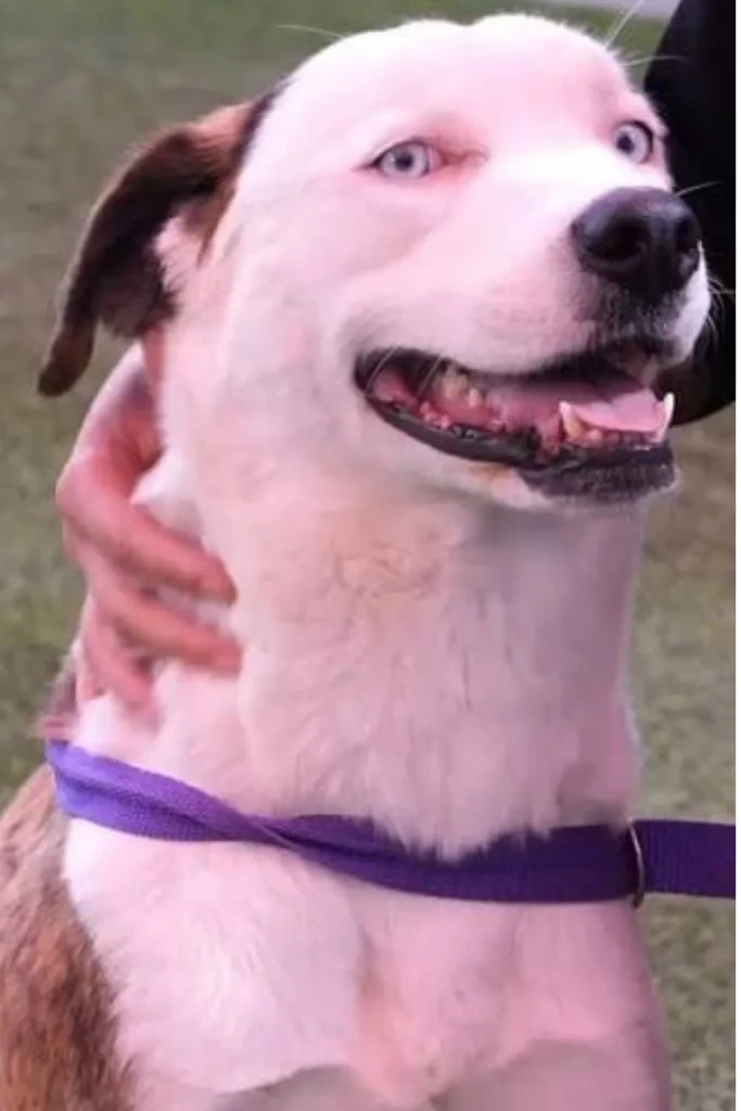 Close-up of Loretta smiling with someone's hand on her shoulder