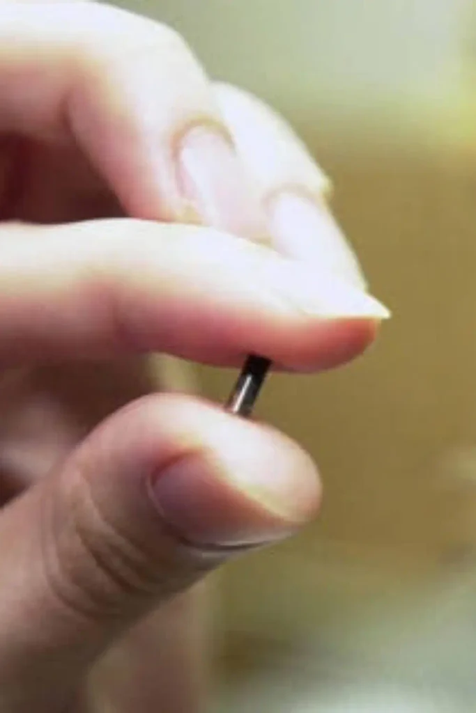 Close-up of a small pet microchip held between two fingers