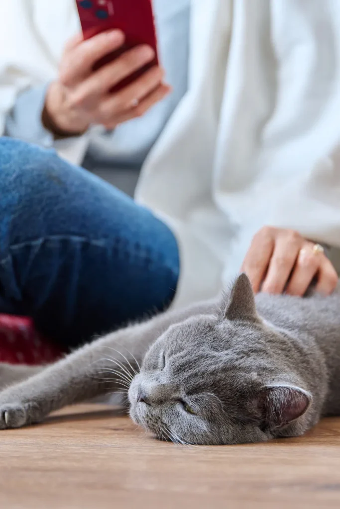 signs your cat trusts you