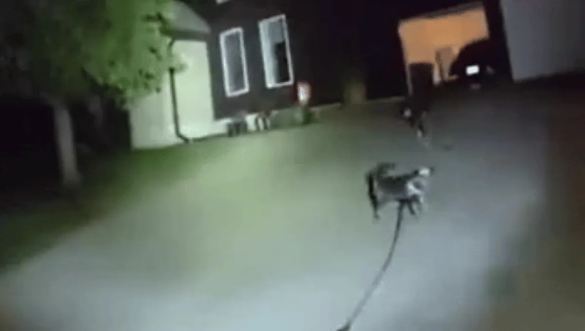 Dog leads Kansas police officer to owner facing medical emergency