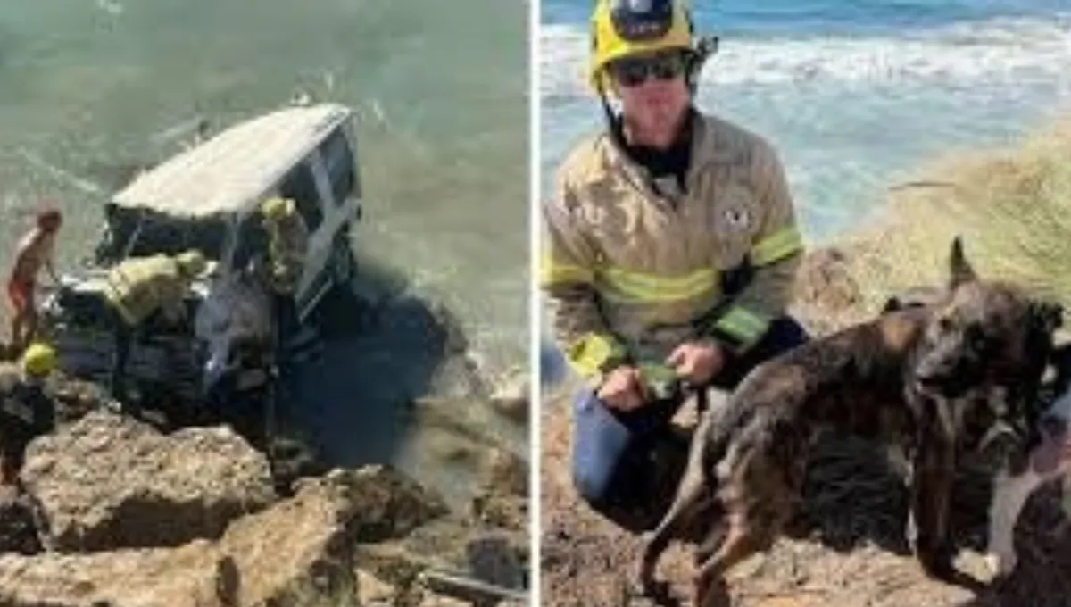 Firefighters rescuing a van that veered into the ocean near Malibu, with a rescued dog shown separately with a firefighter