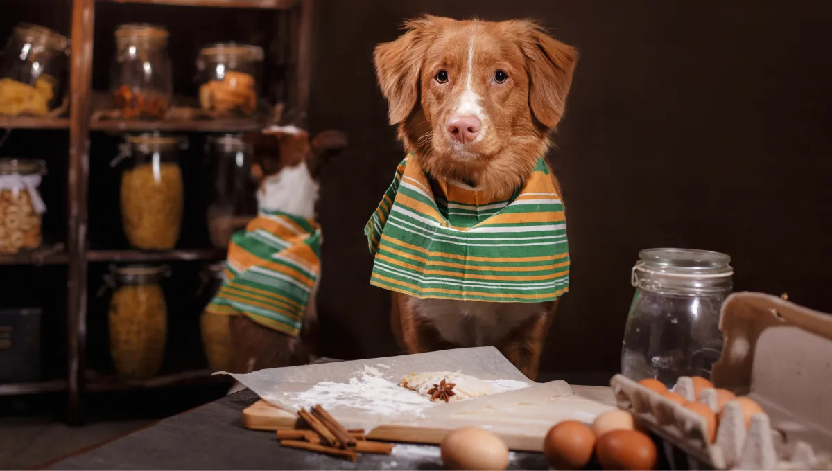 Dogs wearing kitchen towels standing at a table with cinnamon sticks, flour, and eggs