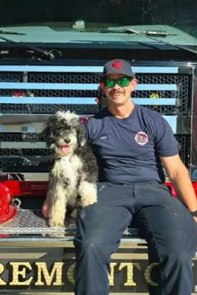 Rosie, a Sheepadoodle therapy dog, sitting on a fire truck bumper next to a smiling firefighter in a navy uniform